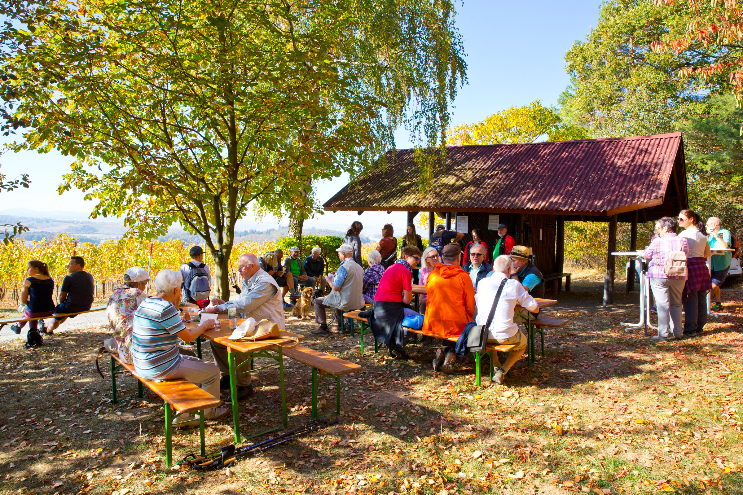 An der Kissinger Wünzerhütte machen viele Weinlagenwanderer eine längere Rast und genießen das Sommerwetter mitten im Oktober.  (Foto: Ulrike Bernauer)